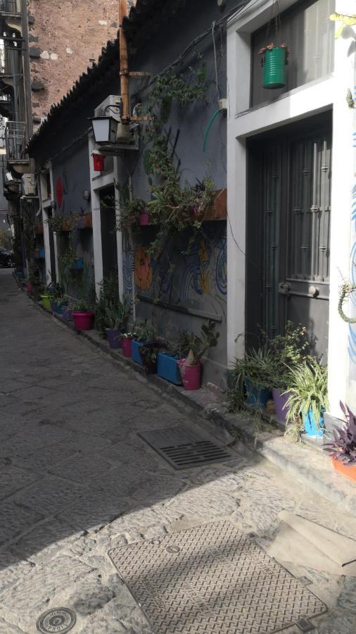 San Berillo House Apartment Catania Ngoại thất bức ảnh